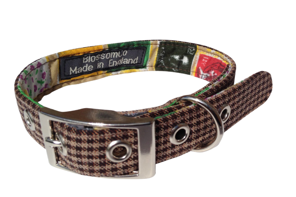 Wilbur/Stamp Stylish Dog Collar Finley & Gray Ltd
